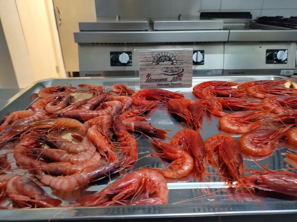 Menu_MAMMA MIA ristorante pizzeria bar_Stefanaconi_image_9