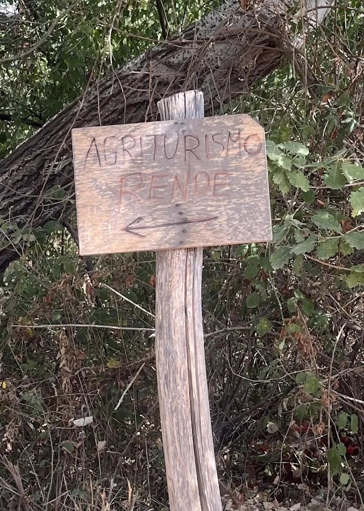 sima emani_Agriturismo Rende_Tarsia_review