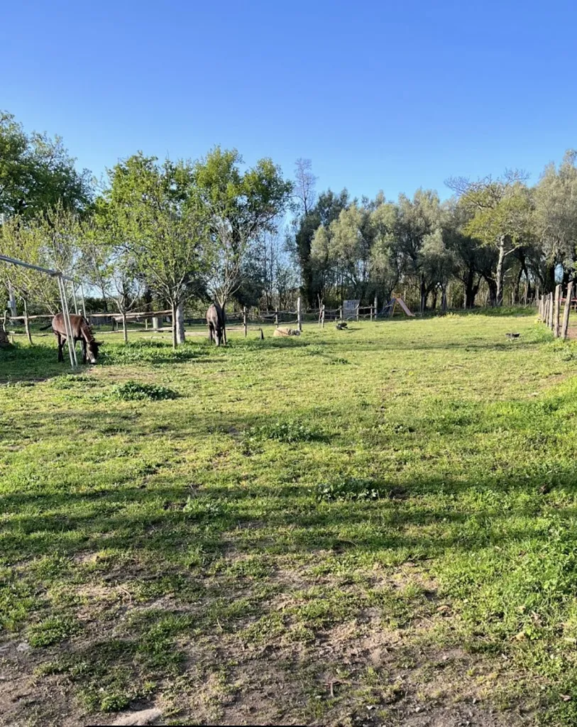 Antica Galatoni restaurant in Terranova Sappo Minulio