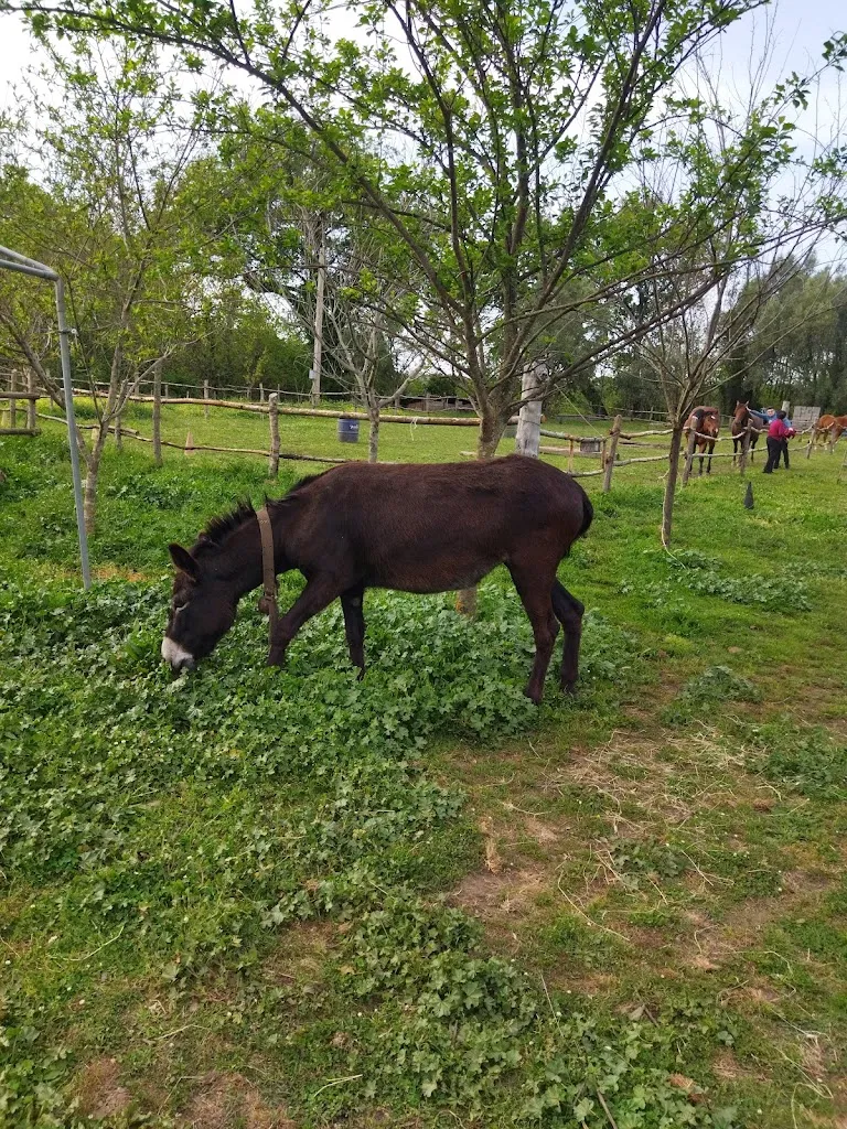 Antica Galatoni_Terranova Sappo Minulio_slider_image_2