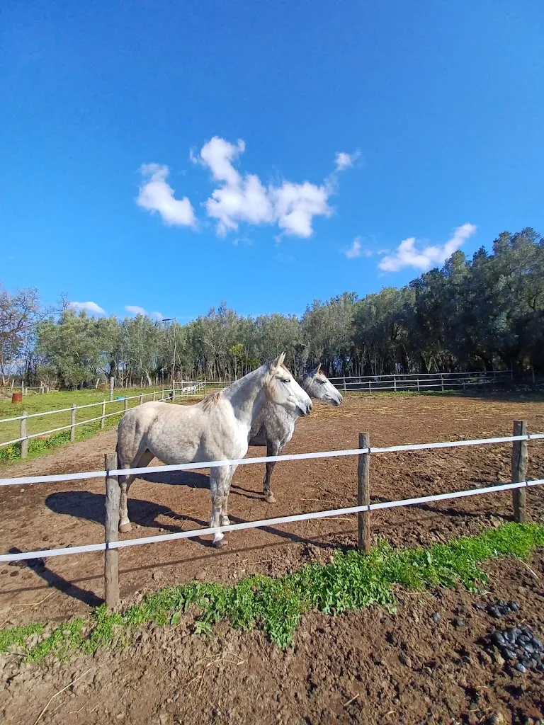 Antica Galatoni_Terranova Sappo Minulio_slider_image_3