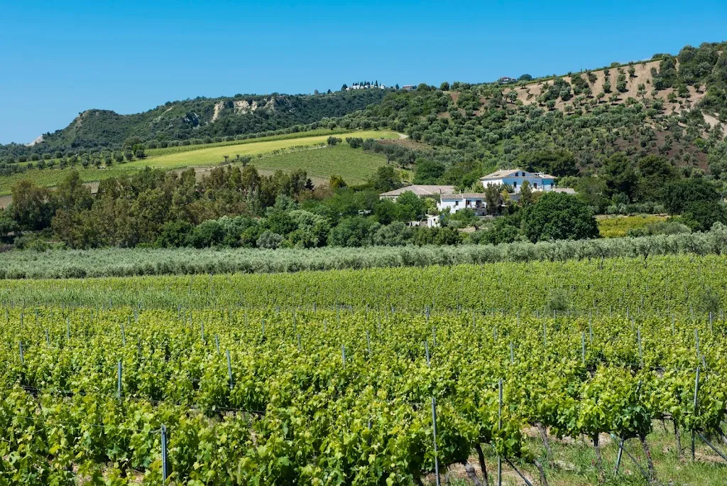 Azienda Ceraudo e Ristorante Dattilo_Strongoli_slider_image_1