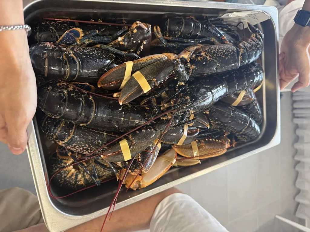 Massimo Sasso_Lidò del Miramar_Torre Melissa_review