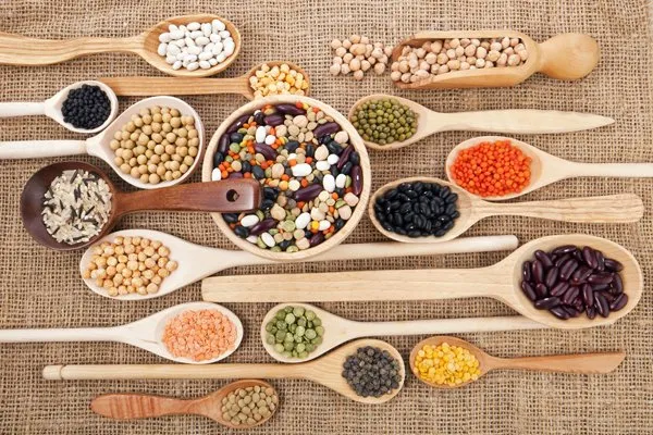 Menu_Zenzero & Bambù_Tortora_image_3