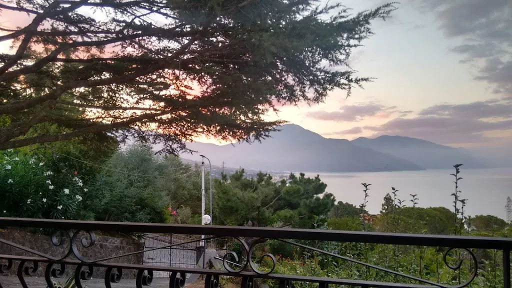 Zenzero & Bambù_Tortora_slider_image_3