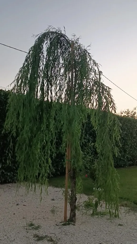 Ristorante Hotel Filippone restaurant in Gioia dei Marsi