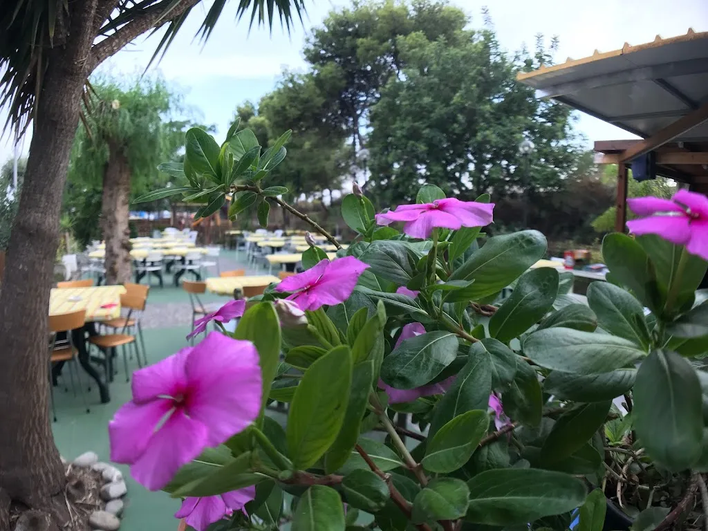 Da Focile_Trebisacce_slider_image_3