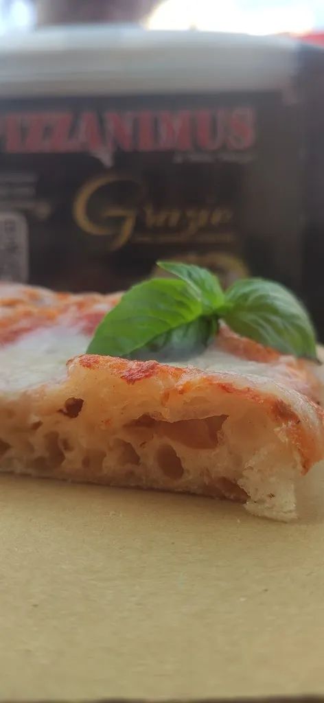 Menu_Pizzanimus_Trebisacce_image_7