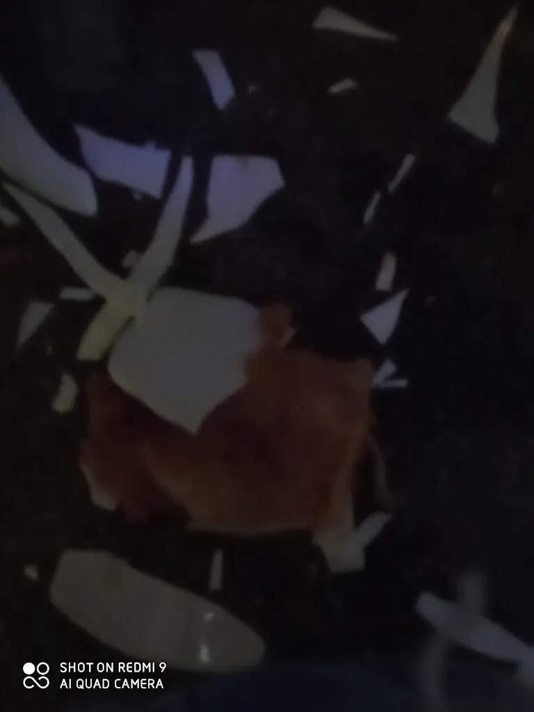 FRAscut8_Da Pettarino_Trebisacce_review