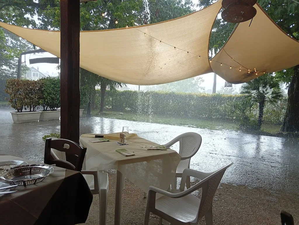 Mario Serpico_Il Castagneto_Acerno_recensione