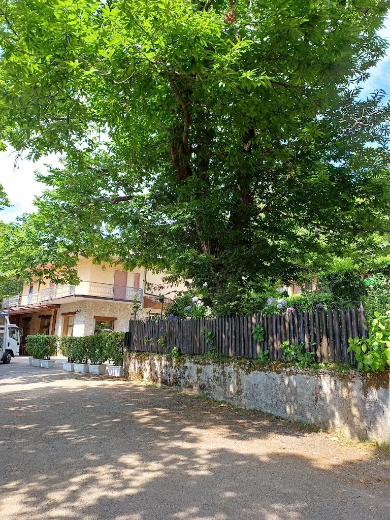 Giusy Celentano_Il Castagneto_Acerno_recensione