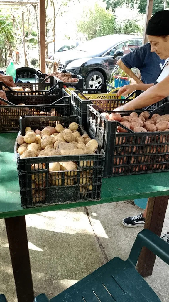 Simonetta Capobianco_Valle dei Pioppi_Acerno_recensione