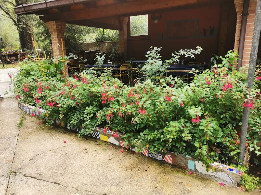 Vezio R._Valle dei Pioppi_Acerno_recensione