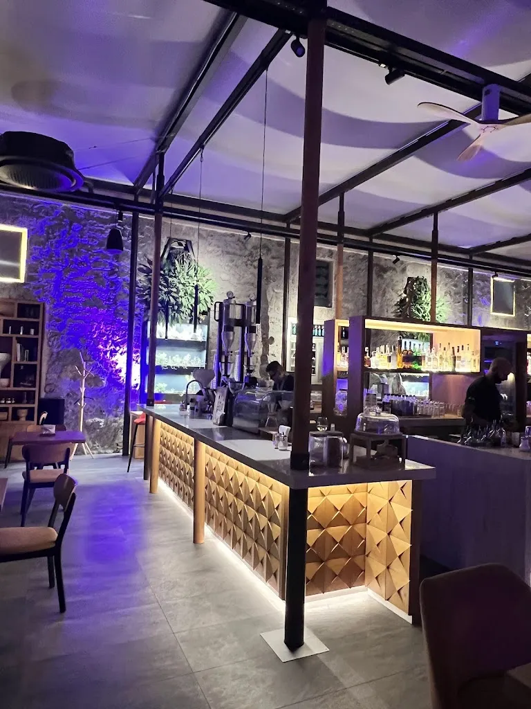 Loris Lignola_Palarté_Acerra_review