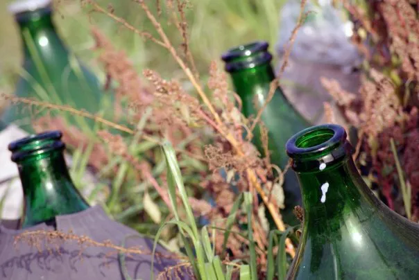 Joyce Koeper_Terra Mia_Acerra_review