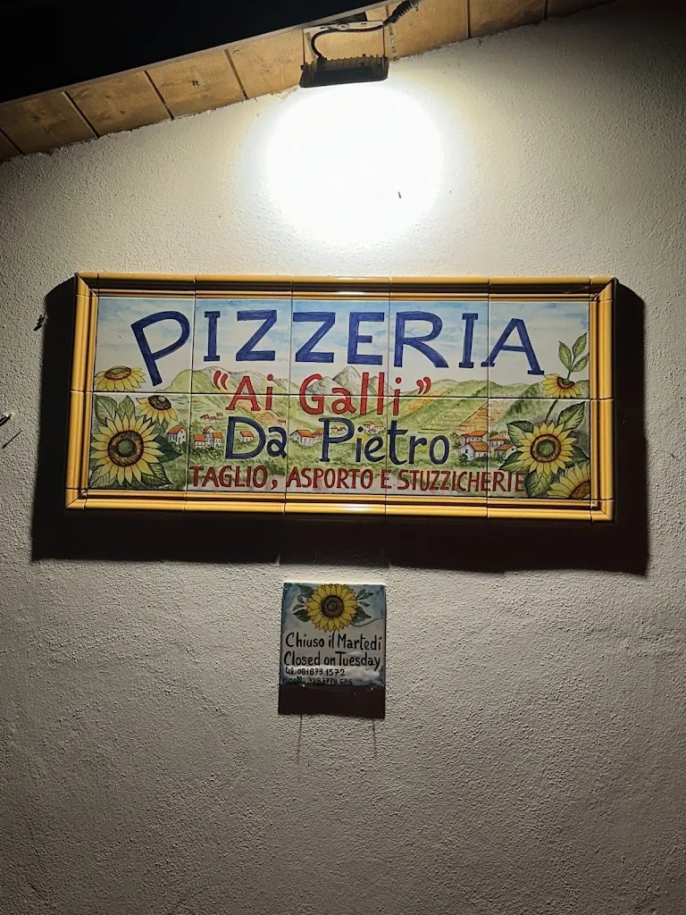 Cenk Gumus_Pizzeria ai Galli_Agerola_recensione