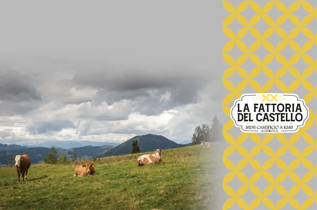 La Fattoria del Castello restaurant in Agerola