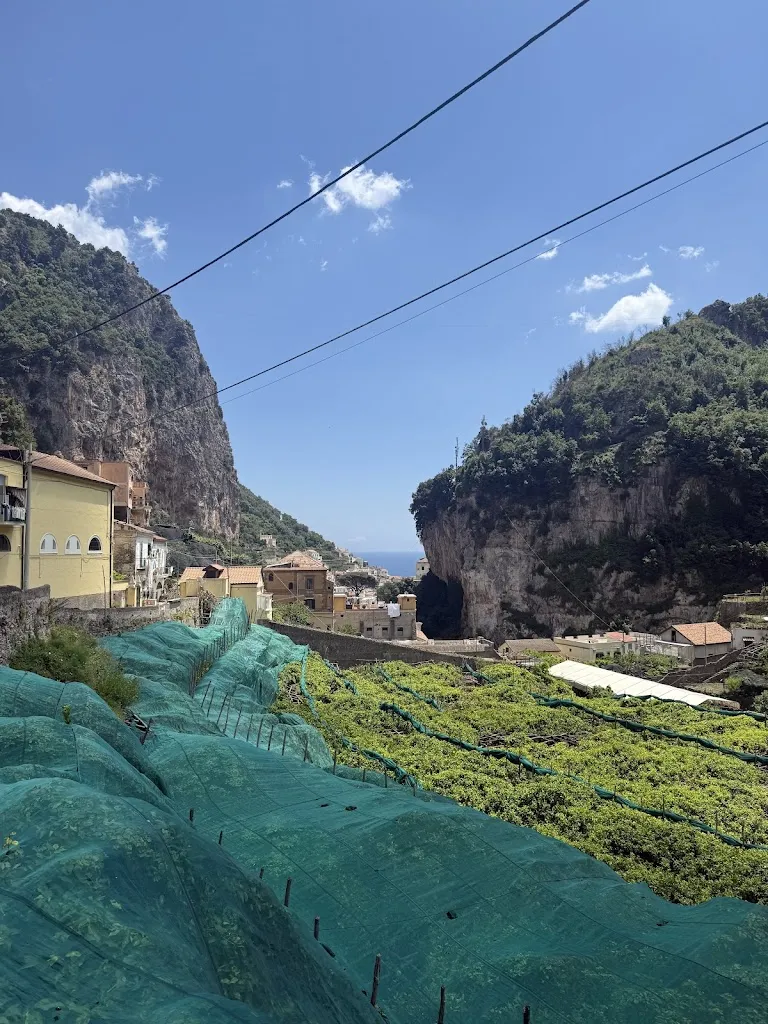 Tamara Hattab_Agricola Fore Porta_Agerola_review