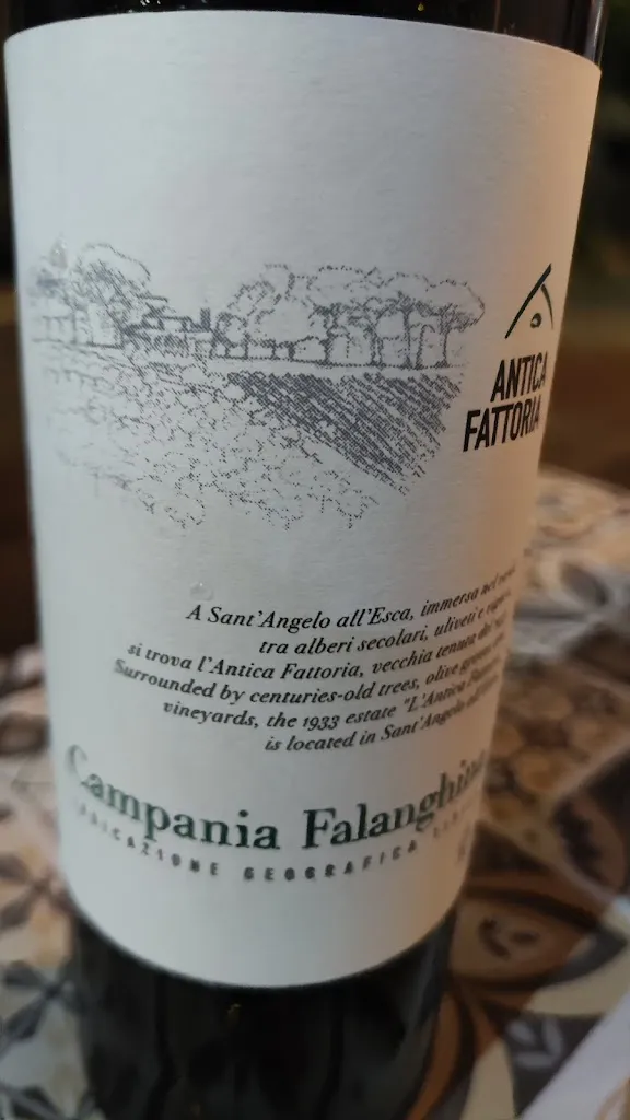 BOGDAN B_Addu' Zi Matteo_Agerola_review