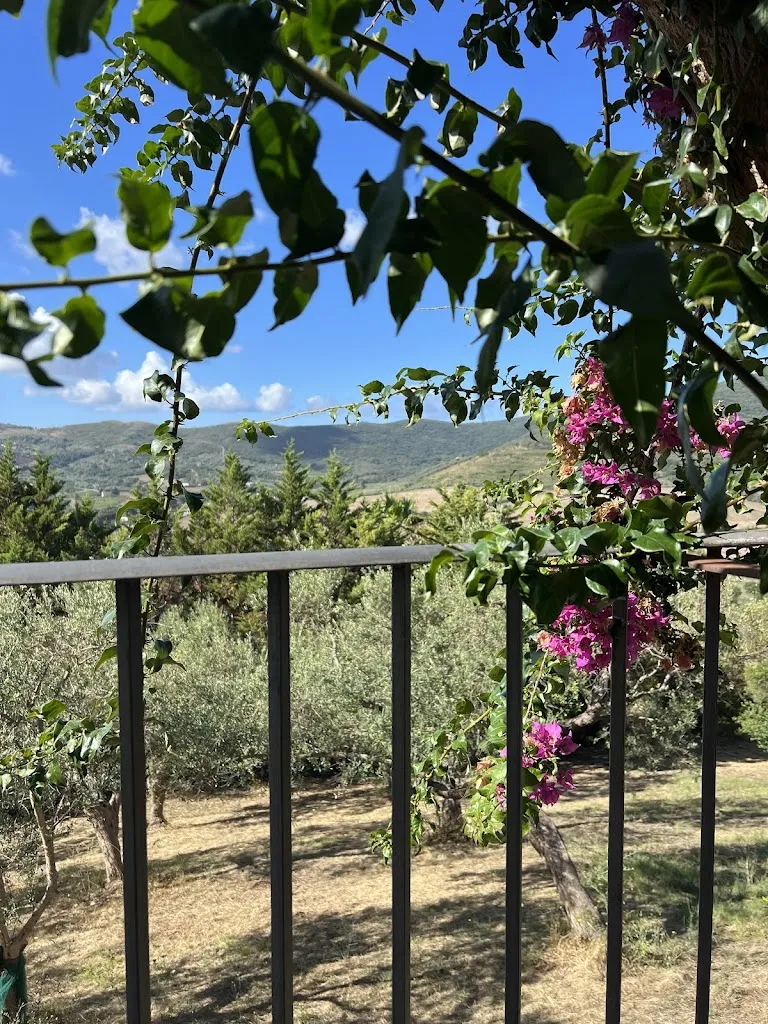 Claire Tozer_Ubbìpò Osteria_Agropoli_review