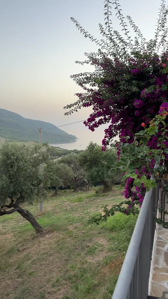 Ubbìpò Osteria_Agropoli_slider_image_2