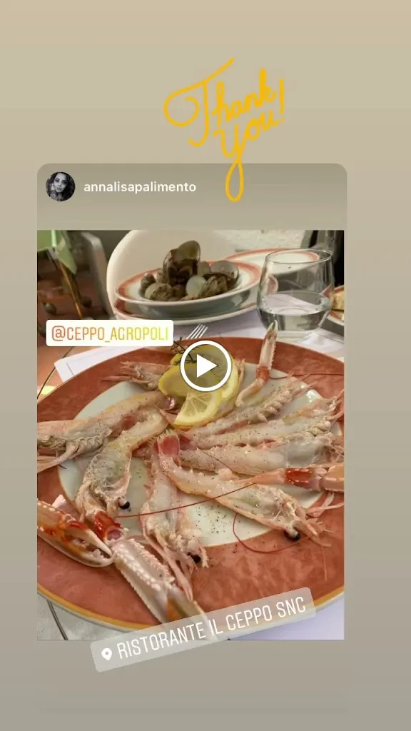 Il Ceppo Hotel Ristorante_Agropoli_slider_image_2