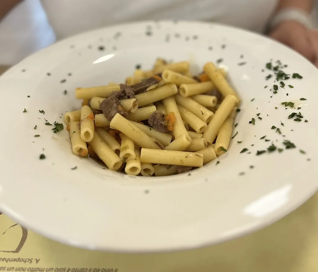 Charles Anna_Zenzero_Alife_review