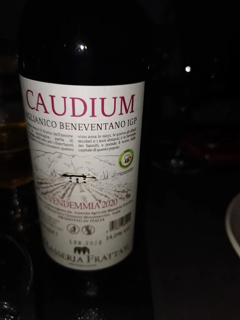 Antonio Di-lullo_Zenzero_Alife_review