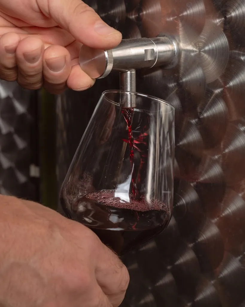 Menu_Vineria Elepha_Alife_immagine_7