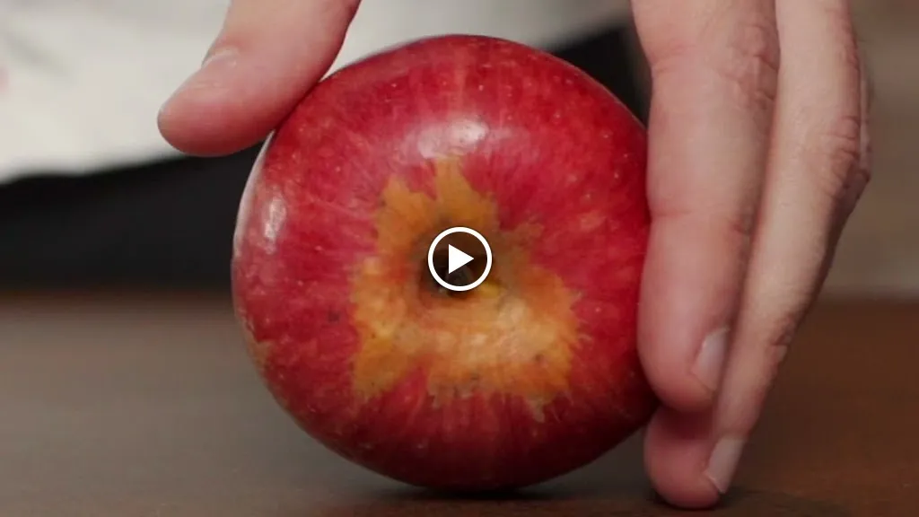 Vino e Biga_Alife_slider_image_2