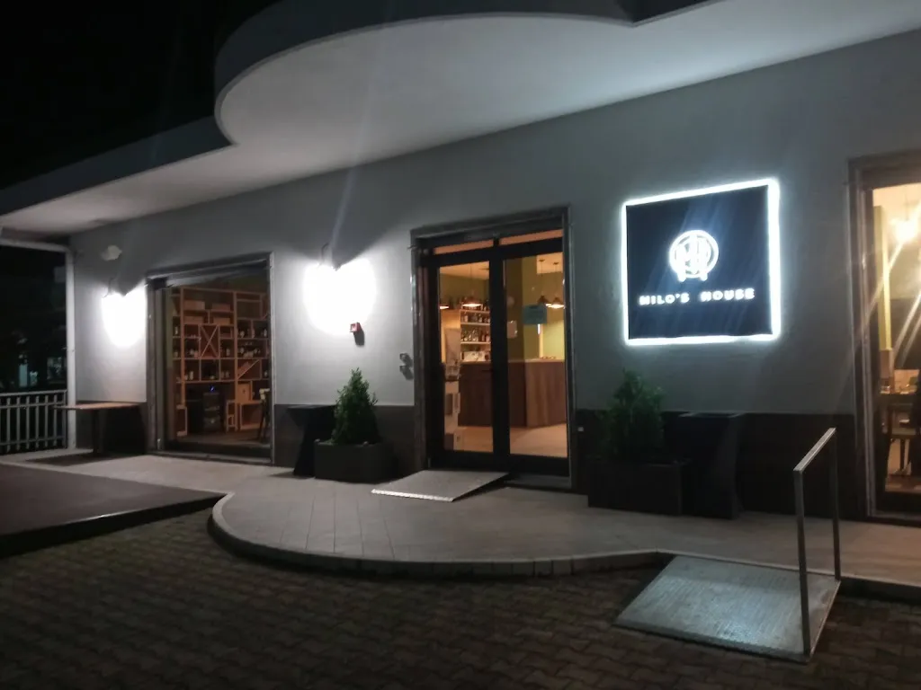 Ruben Marquez_MILO'S HOUSE_Alife_review