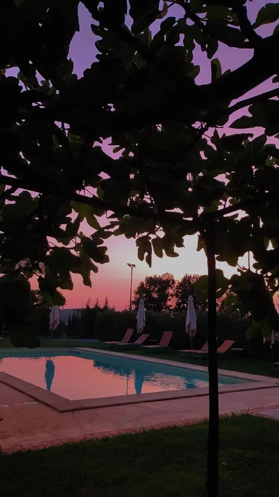 Andrea_Mammarella_Altavilla Silentina_review