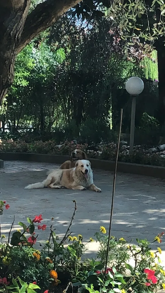 MARTINA FORMICA_Agriturismo al gallo verde_Altavilla Silentina_review