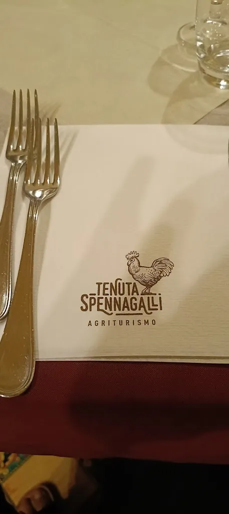 LELLO CURCI_Agriturismo Spennagalli_Altavilla Silentina_review