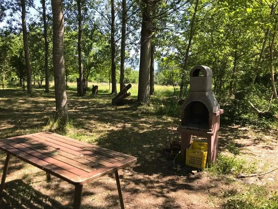 Verdeoliva - Serra Sabino_Alvignano_slider_image_3