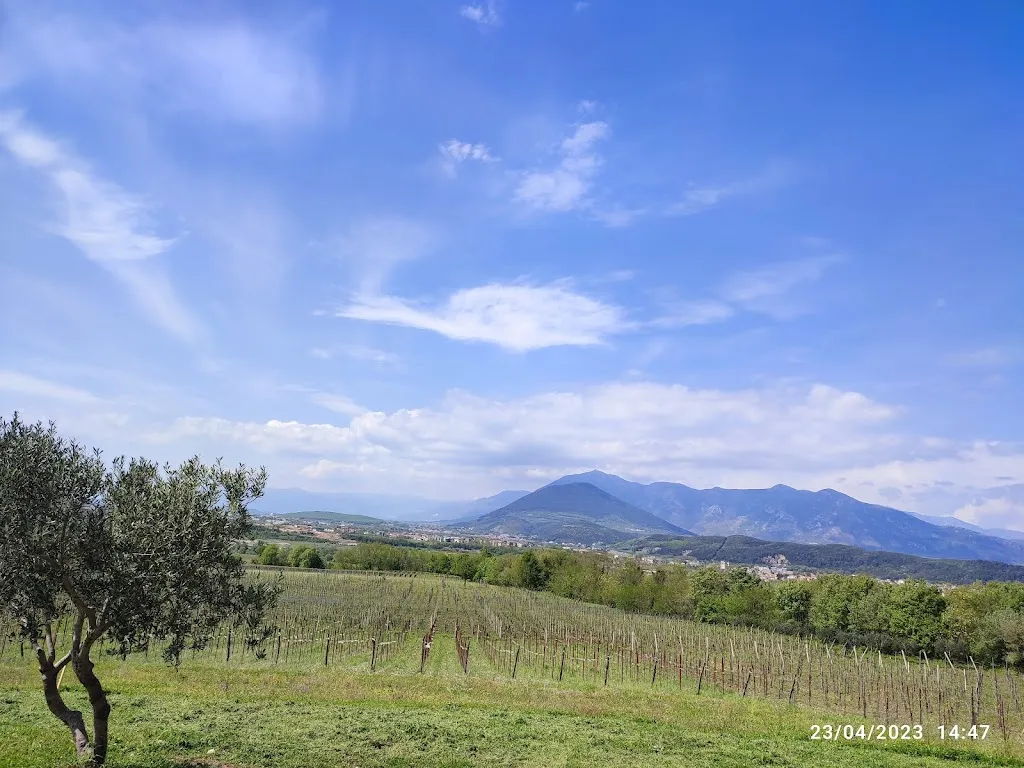 alessandro delgaudio_il Ritrovo dei Briganti_Amorosi_review