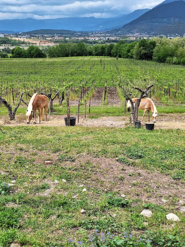 il Ritrovo dei Briganti_Amorosi_slider_image_3