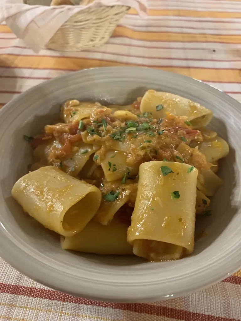 Appalachian Trail Digger_Il Sauro_Amorosi_review