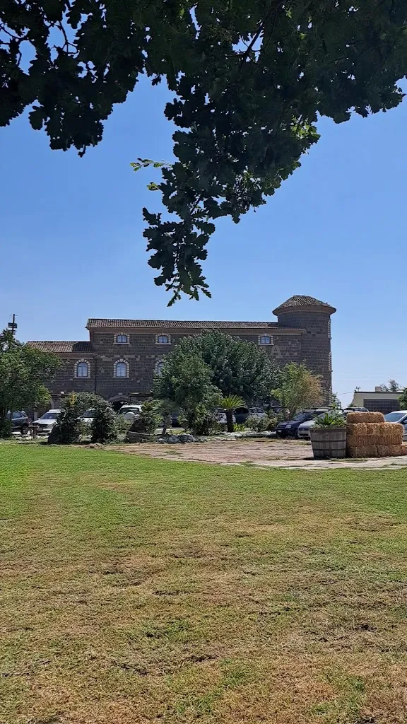 Raffaela Busiello_Casale Di Palma_Amorosi_review