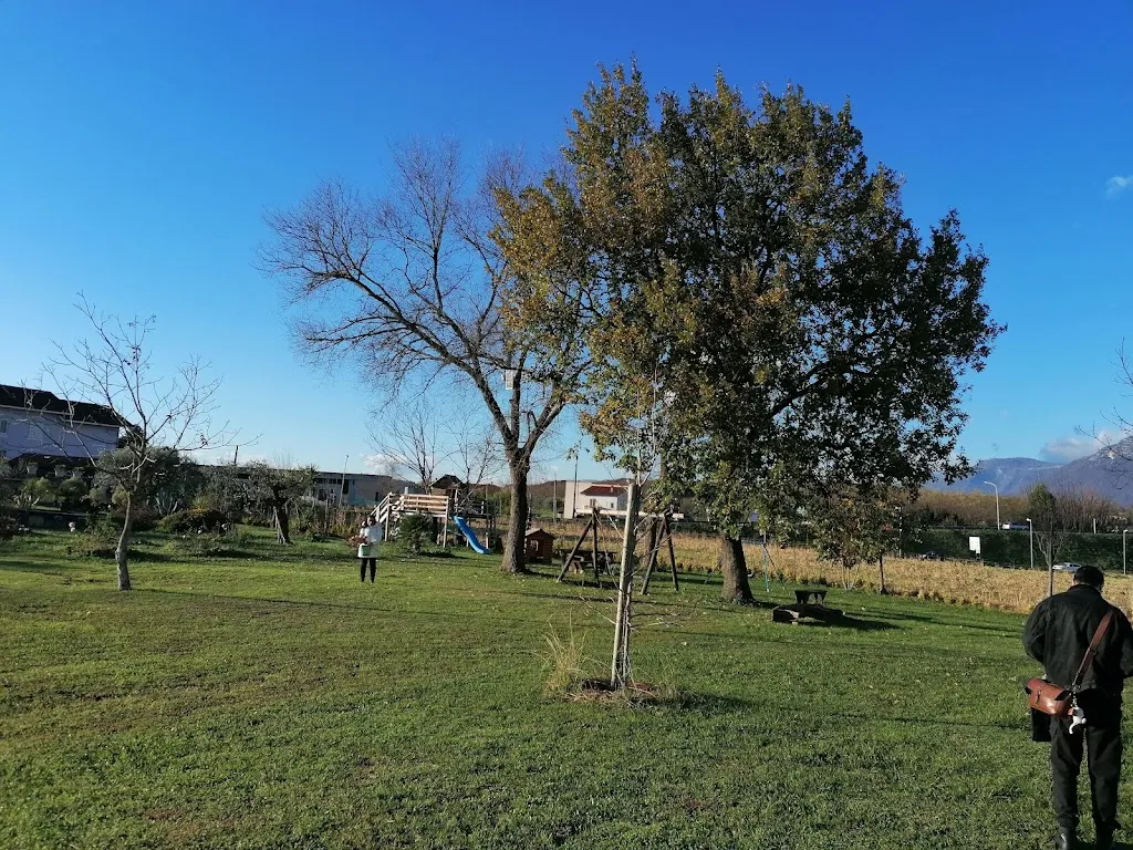 Domenico Caputo_Casale Di Palma_Amorosi_review