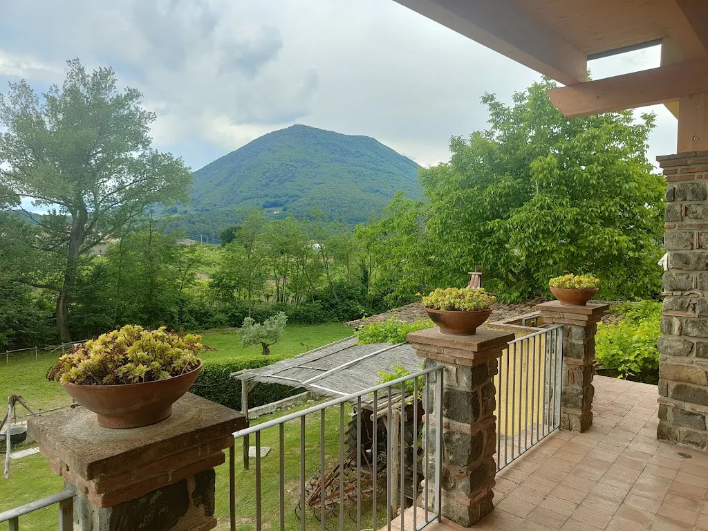 James Walsh_Agriturismo Locanda Marzi_Amorosi_review