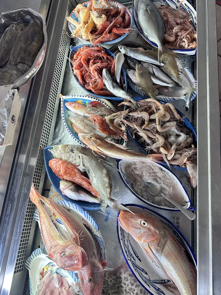 LEX ARD #tv_Celestino_Annunziata_review