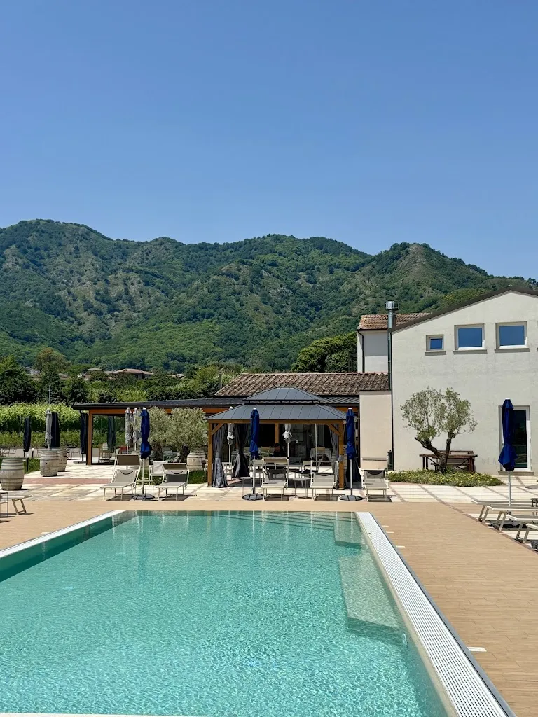 Lorenzo Van Moerkercke_Azienda Agricola Guerritore_Antessano_review