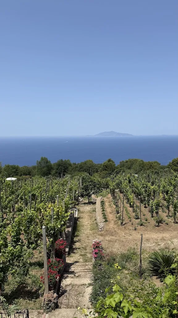 Tony Kearney_Da Gelsomina - Ristorante_Anacapri_Bewertung