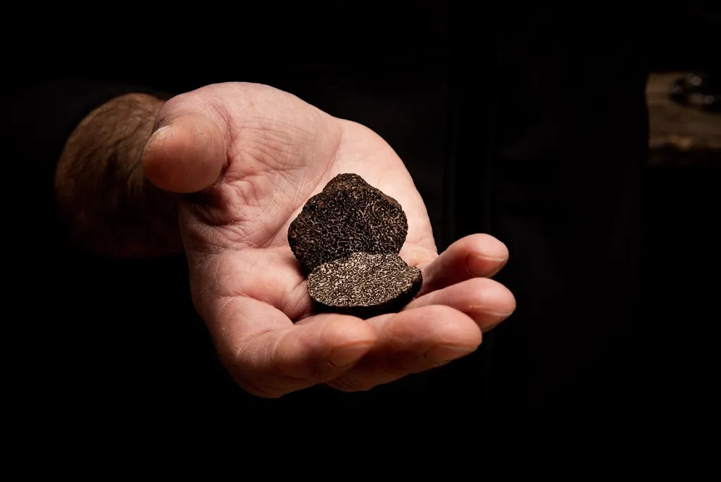 Le Tartufaie - Laboratorio/Bottega restaurant in Ateleta