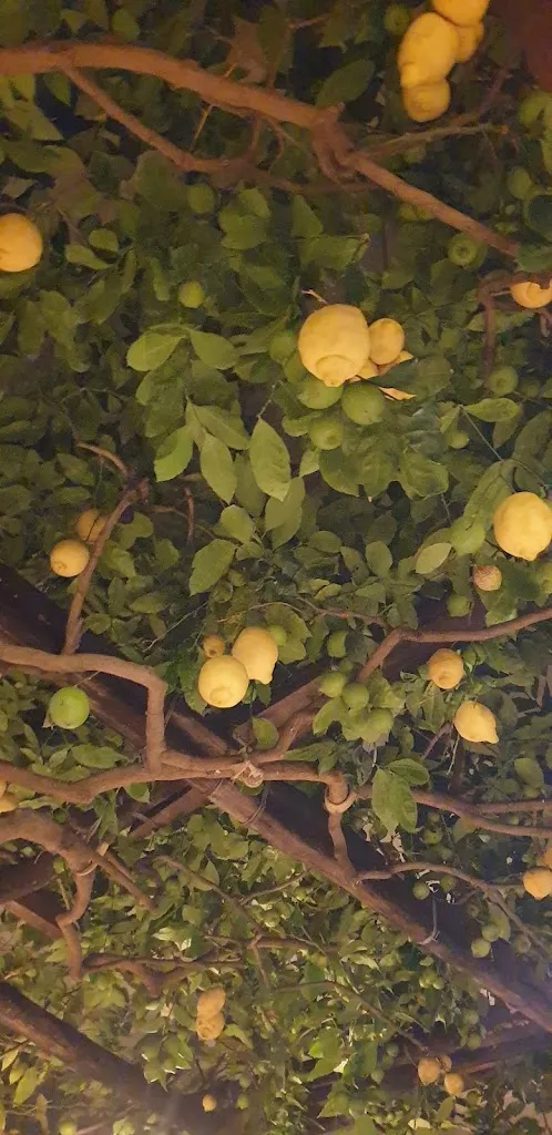 Menu_Da Paolino_Anacapri_image_5