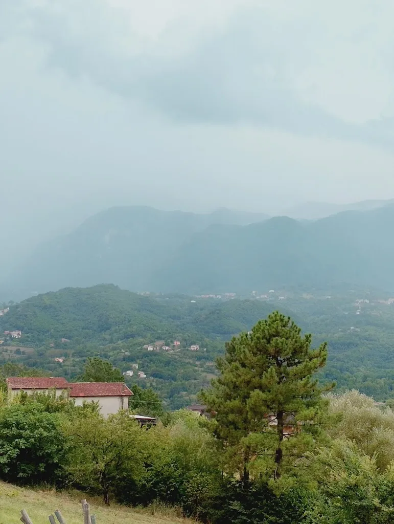 Domenico Cinquegrana_Rossi&Nero Resort_Arpaise_recensione