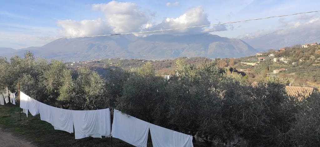 Anastasiia Starodubtseva_Ristorante Il Ciclope_Arpino_review