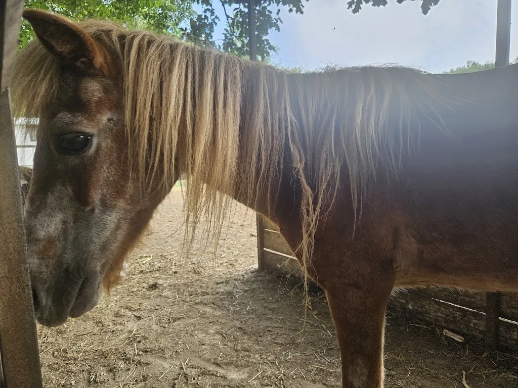 Francesco Colella_Agriturismo Valle Reale_Arpino_recensione