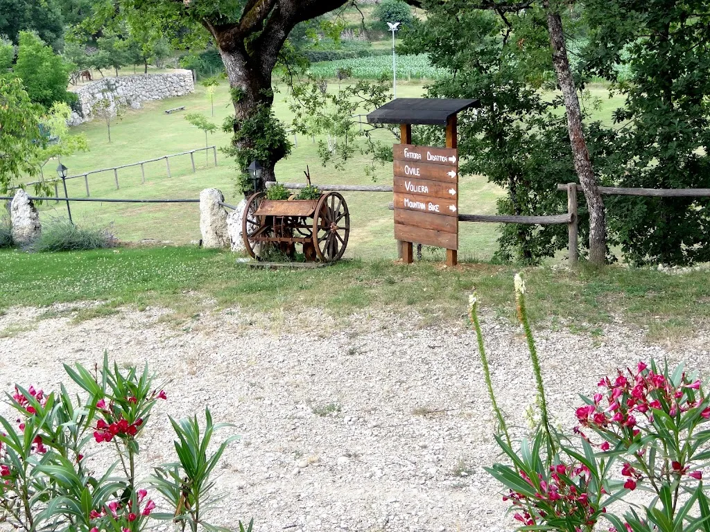 Agriturismo Valle Reale_Arpino_slider_image_3